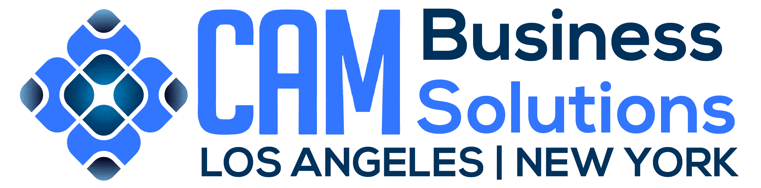 CAM Business Solutions